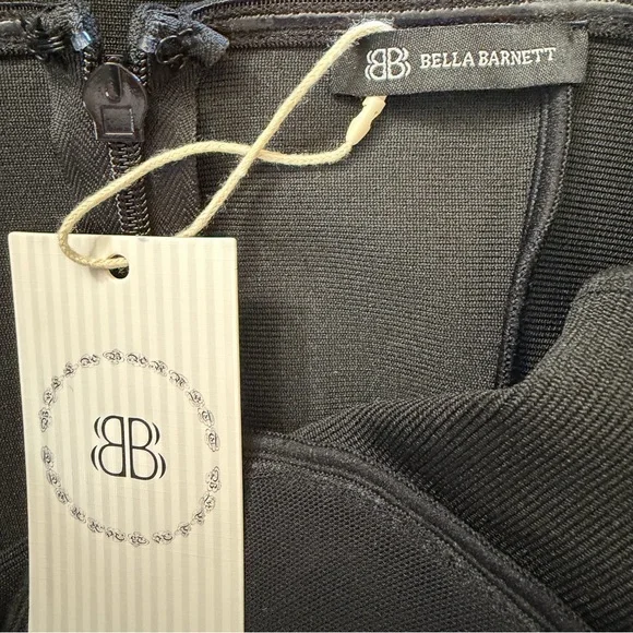 Bella Barnett  Elegant Special Occasion Dress - Picture 8 of 10